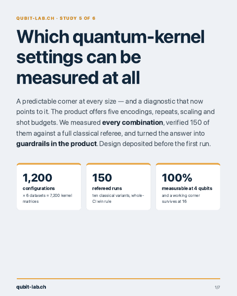 Which quantum-kernel settings can be measured at all — brief cover